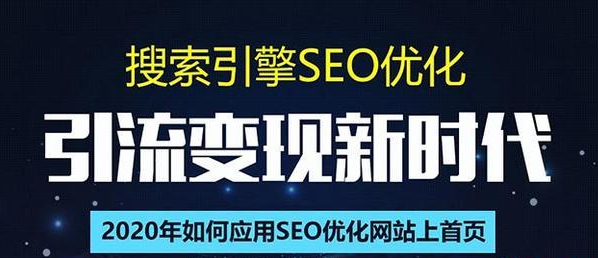 SEO搜索引擎优化总监实战VIP课堂【透析2020最新案例】快速实现年新30W_微雨项目网
