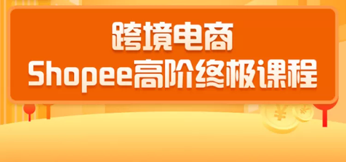 2020跨境电商蓝海新机会-SHOPEE大卖特训营：高阶终极课程（16节课）_微雨项目网