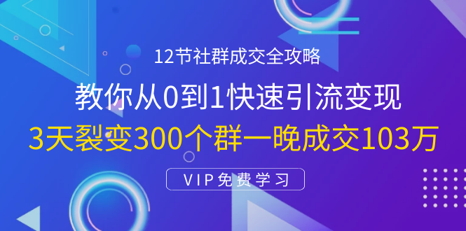 12节社群成交全攻略：从0到1快速引流变现，3天裂变300个群一晚成交103万_微雨项目网