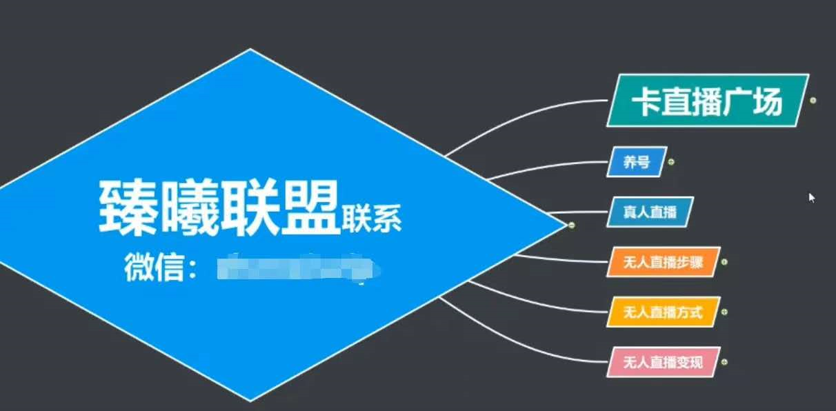 臻曦联盟，最新无人直播万人在线技术理原及详细操作步骤解析（视频教程）_微雨项目网