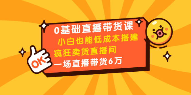 0基础直播带货课：小白也能低成本搭建疯狂卖货直播间：1场直播带货6万_微雨项目网