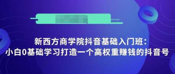 抖音基础入门班：小白0基础学习打造一个高权重赚钱的抖音号_微雨项目网