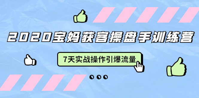 2020宝妈获客操盘手训练营：7天实战操作引爆 母婴、都市、购物宝妈流量_微雨项目网