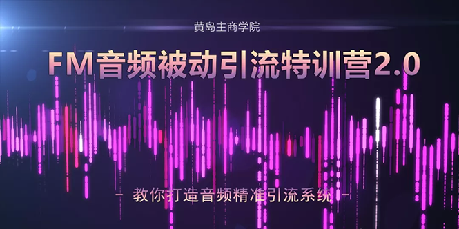 黄岛主·FM音频引流特训营2.0：独家引流模式，单账号50W+播放量，轻松变现_微雨项目网