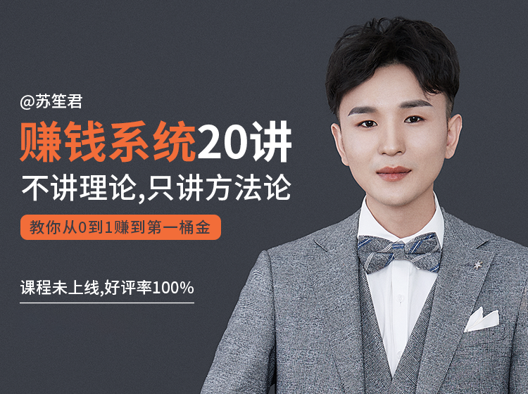 苏笙君的赚钱系统20课 教你从0到1赚到你的第一桶金（不讲理论，只讲方法论）_微雨项目网