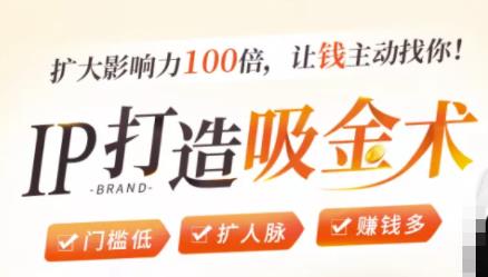 IP打造吸金术：0基础0资源，也能扩大影响力100倍，让钱主动找你！_微雨项目网