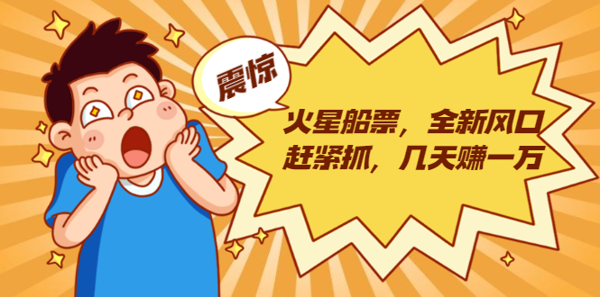 火星船票，全新风口赶紧抓，几天赚一万+摆地摊卖尾货月入一万（5个项目）_微雨项目网