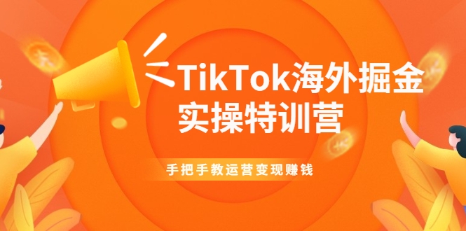 TikTok海外掘金实操特训营：手把手教运营变现赚钱_微雨项目网