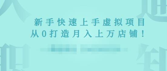 2022年虚拟项目实战指南，新手从0打造月入上万店铺_微雨项目网