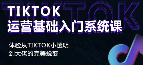 Tiktok实操进阶课程，体验从tiktok小透明到大佬的完美蜕变_微雨项目网
