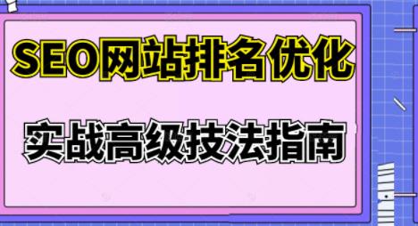 樊天华·SEO网站排名优化实战高级技法指南，让客户找到你_微雨项目网