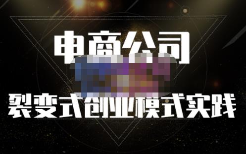 聚草堂·电商公司裂变式创业模式实践，电商卖家的人力资源管理分享_微雨项目网