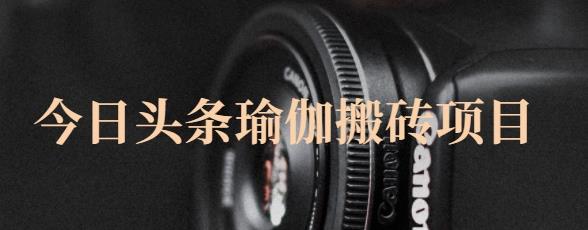 猎人社区·今日头条瑜伽搬砖项目，单号一天几十收入，可以批量操作！_微雨项目网
