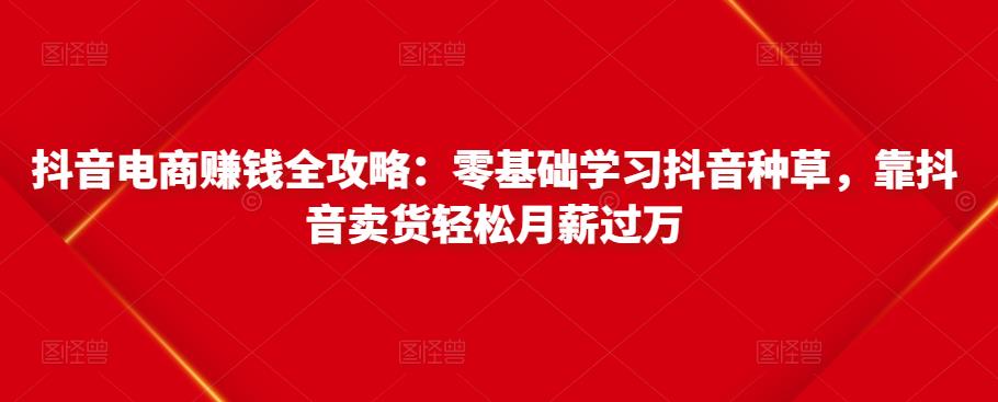 抖音电商赚钱全攻略：零基础学习抖音种草，靠抖音卖货轻松月薪过万_微雨项目网