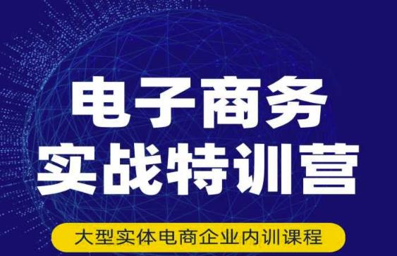 民赛电气内部出品：电子商务实战特训营，全方位带你入门电商，308种方式玩转电商_微雨项目网