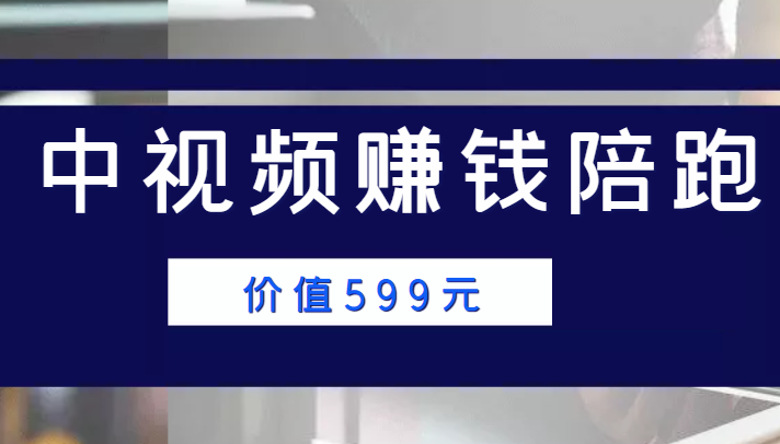 中视频赚钱陪跑，卖中视频账户赚钱收益陪跑项目（价值599元）_微雨项目网
