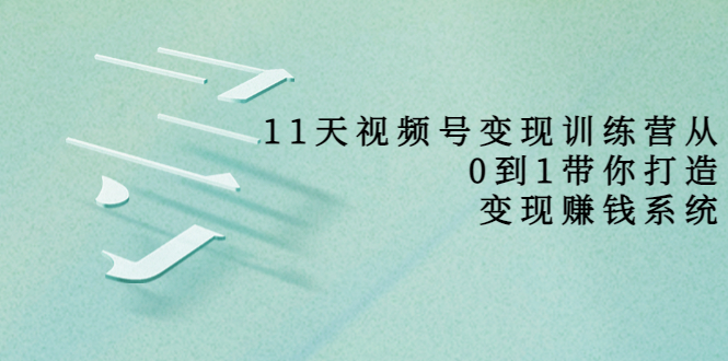 11天视频号变现训练营，从0到1打造变现赚钱系统（价值398元）_微雨项目网