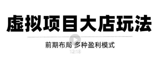 虚拟项目月入几万大店玩法分享，多店操作利润倍增（快速起店盈利）_微雨项目网