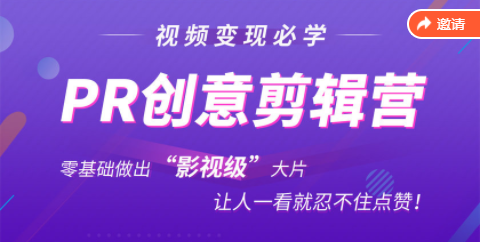 抖音赚钱必学的PR创意剪辑：零基础做出“影视级”大片，让人一看就忍不住为你点赞！_微雨项目网