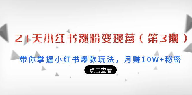 21天小红书涨粉变现营（第3期）：带你掌握小红书爆款玩法，月赚10W+秘密_微雨项目网