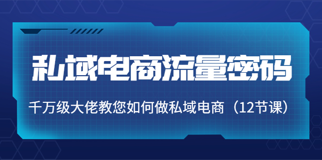 私域电商流量密码：千万级大佬教您如何做私域电商（12节课）_微雨项目网