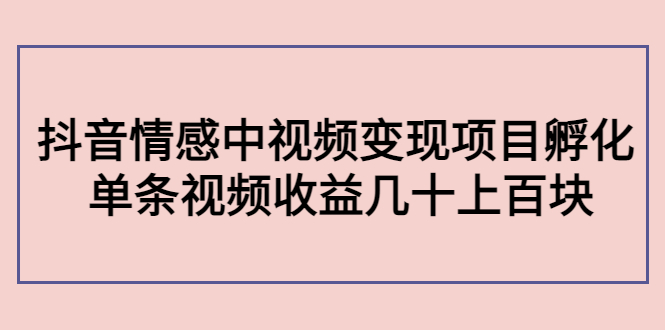 副业孵化营第5期：抖音情感中视频变现项目孵化 单条视频收益几十上百_微雨项目网