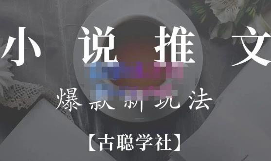 小说推文矩阵号群爆单新玩法，引流技巧+爆款实操+矩阵号玩法，百倍效益、百万播放秘笈_微雨项目网