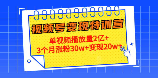 21天视频号变现特训营：单视频播放量2亿+3个月涨粉30w+变现20w+（第14期）_微雨项目网