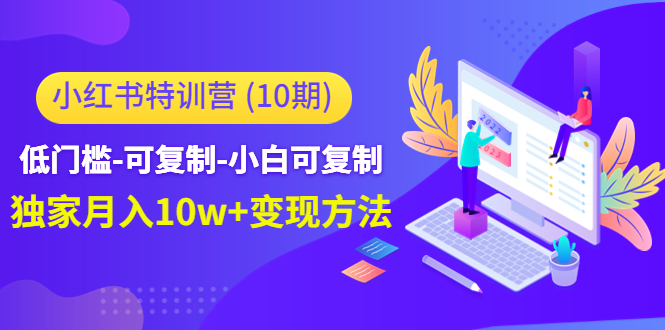 小红书特训营（第10期）低门槛-可复制-小白可复制-独家月入10w+变现方法_微雨项目网