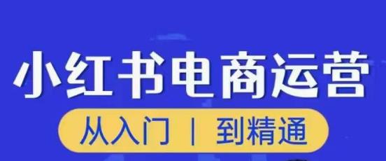 顽石小红书电商高阶运营课程，从入门到精通，玩法流程持续更新_微雨项目网