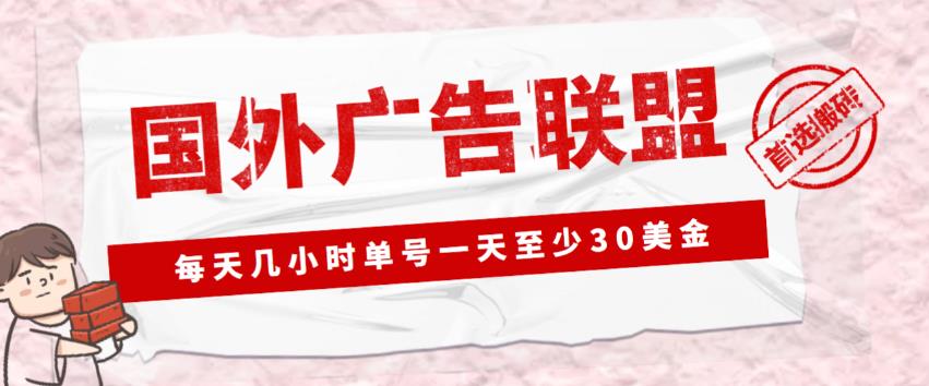 外面收费1980的最新国外LEAD广告联盟搬砖项目，单号一天至少30美金【详细玩法教程】_微雨项目网