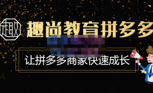 趣尚教育·拼多多运营实操VIP特训营，让拼多多商家快速成长-价值3180元_微雨项目网