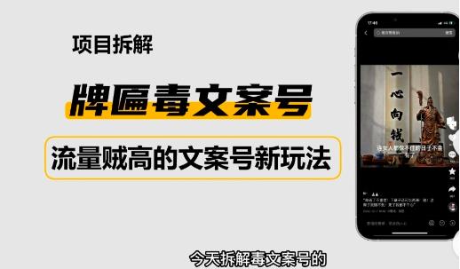 2023抖音快手毒文案新玩法，牌匾文案号，起号快易变现_微雨项目网