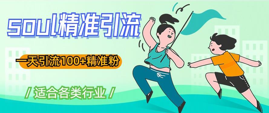 soul精准引流系列课程，一天引流100+精准粉，适合各类行业_微雨项目网