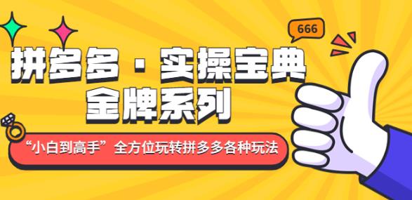 拼多多·实操宝典：金牌系列“小白到高手”带你全方位玩转拼多多各种玩法_微雨项目网