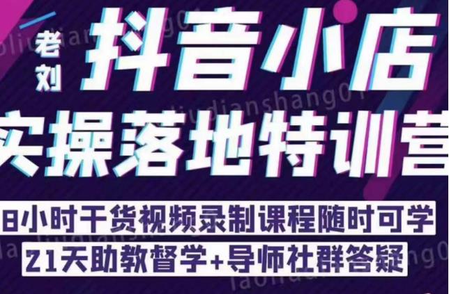 抖音小店实操落地特训营：抖音小店无货源精细化运营，抖店商品卡流量（22节）_微雨项目网
