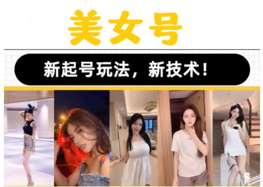 2023抖音快手短视频美女号课程制作玩法教程，美女号搬运新起号玩法，新技术（素材+教程）_微雨项目网