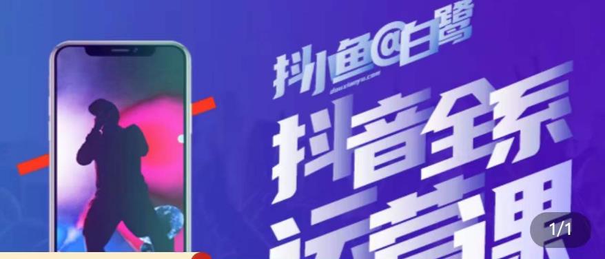 白鹭·主播内训营，运营主播话术起号进阶能力提升_微雨项目网