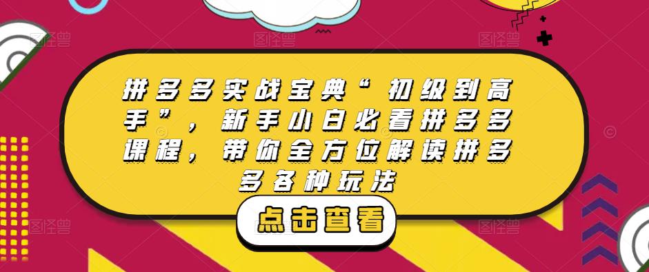 拼多多实战宝典“初级到高手”，新手小白必看拼多多课程，带你全方位解读拼多多各种玩法_微雨项目网