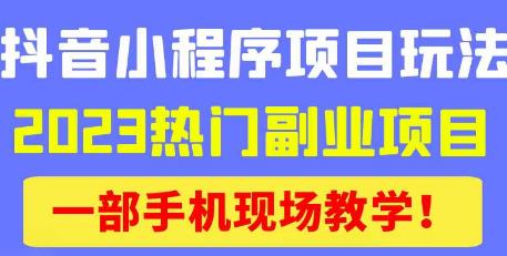 抖音小程序9.0新技巧，2023热门副业项目，动动手指轻松变现_微雨项目网