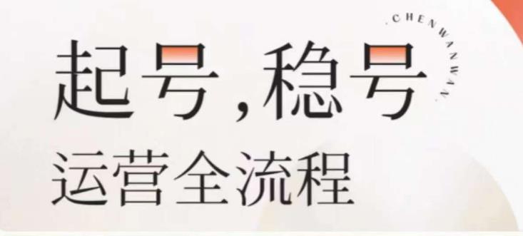 婉婉-起号稳号运营全流程，解决从小白到进阶所有运营知识，帮助解决账号所有运营难题_微雨项目网