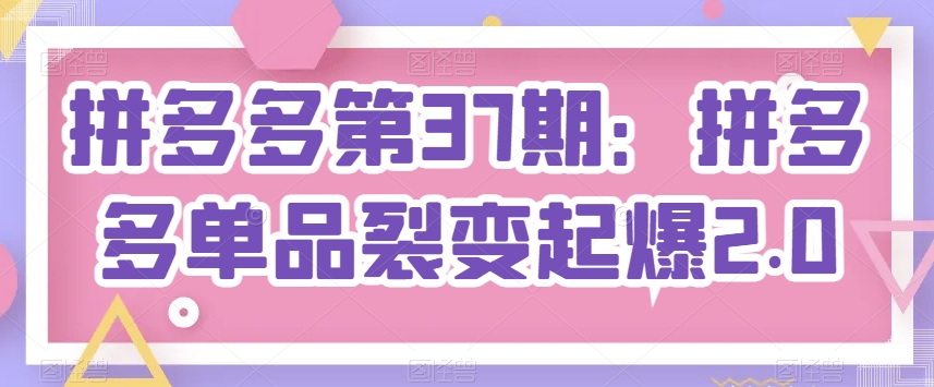 拼多多第37期：拼多多单品裂变起爆2.0_微雨项目网