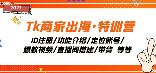 Tk商家出海·特训营：ID注册/功能介绍/定位账号/爆款视频/直播间搭建/带货_微雨项目网