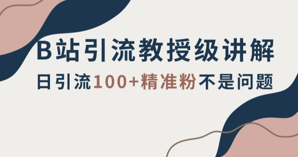 B站引流教授级讲解，细节满满，日引流100+精准粉不是问题【揭秘】_微雨项目网
