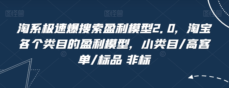 淘系极速爆搜索盈利模型2.0，淘宝各个类目的盈利模型，小类目/高客单/标品 非标_微雨项目网