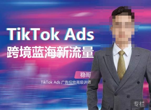 稳哥·如何投出高ROI的TikTok广告，开拓独立站卖家流量新蓝海_微雨项目网
