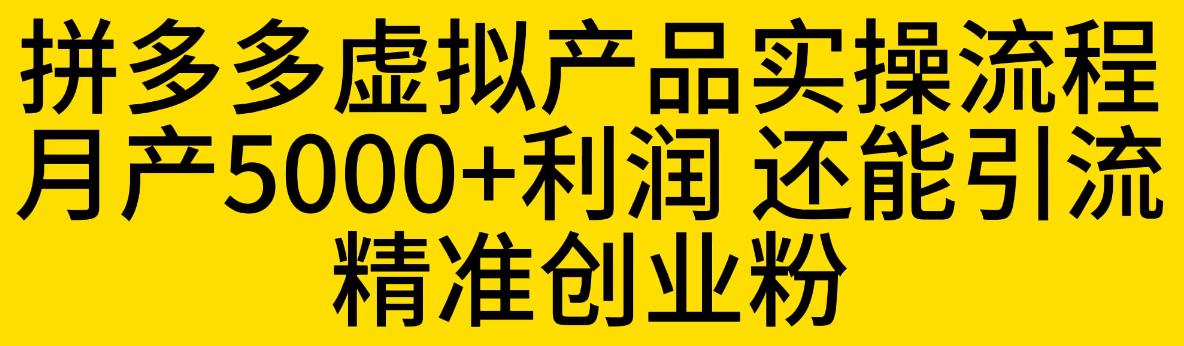 拼多多虚拟产品实操流程，月产5000+利润，还能引流精准创业粉【揭秘】_微雨项目网
