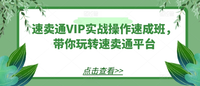 速卖通VIP实战操作速成班，带你玩转速卖通平台_微雨项目网