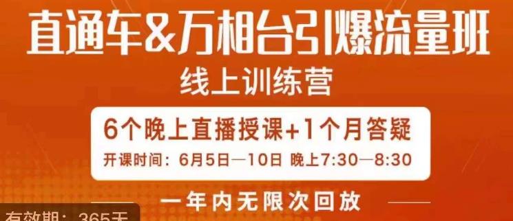 直通车&万相台引爆流量班，6天打通你开直通车·万相台的任督二脉_微雨项目网