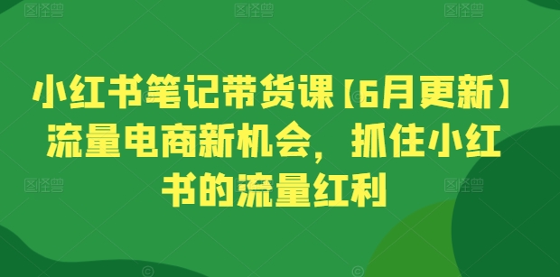 小红书笔记带货课【6月更新】流量电商新机会，抓住小红书的流量红利_微雨项目网